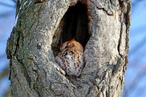 An Eye On You